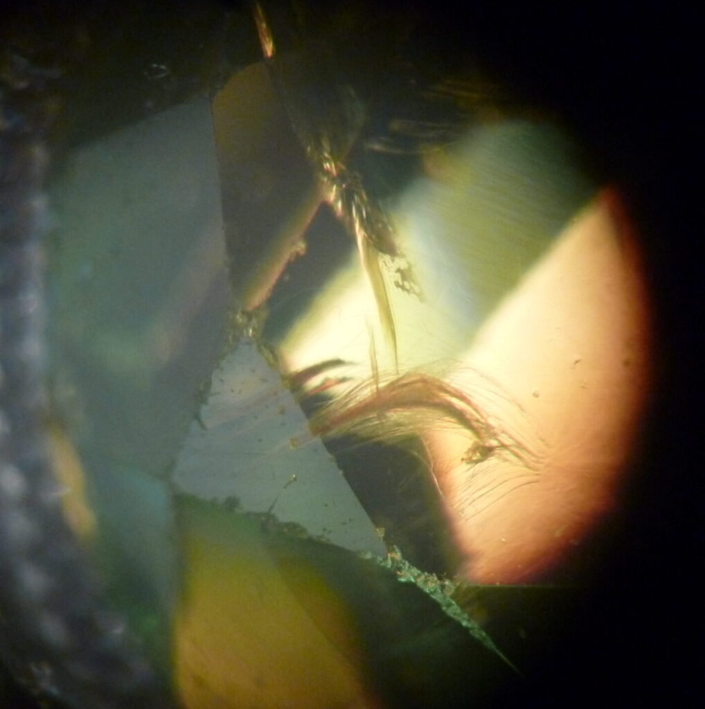 Horsetail inclusion in Demantoid Garnet