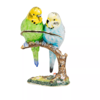 Two budgerigars on a branch